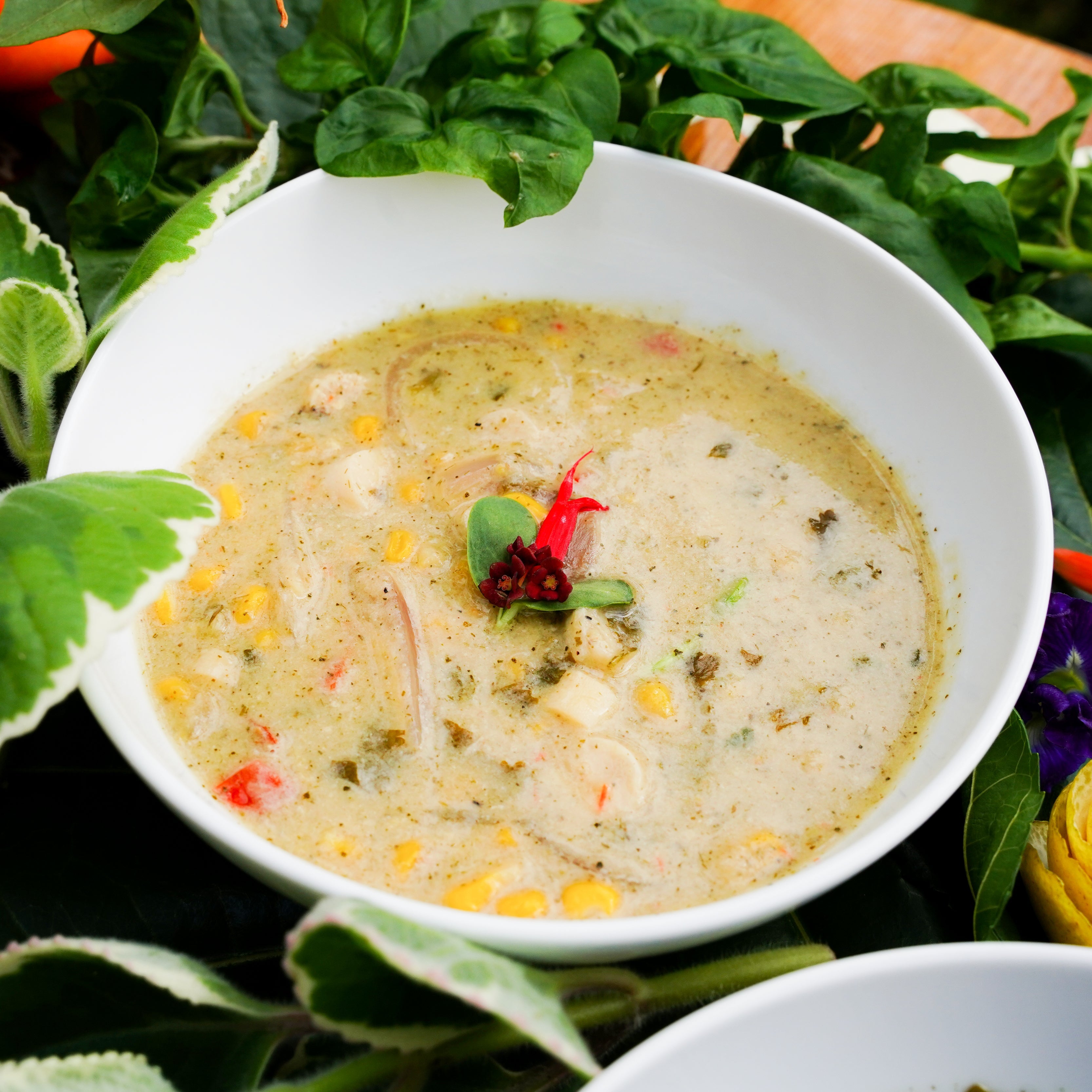 Kauai Farmacy Botanical Broth Blend