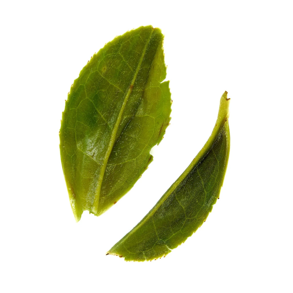 Organic Pi Lo Chun Green Tea