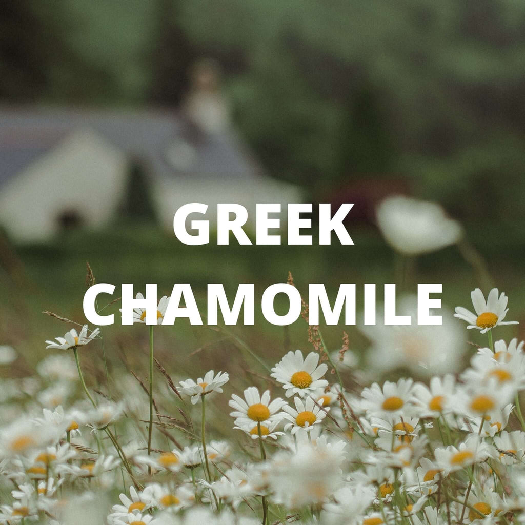 Organic Calm Tea (Greek Lavender, Chamomile and Lemon Balm)