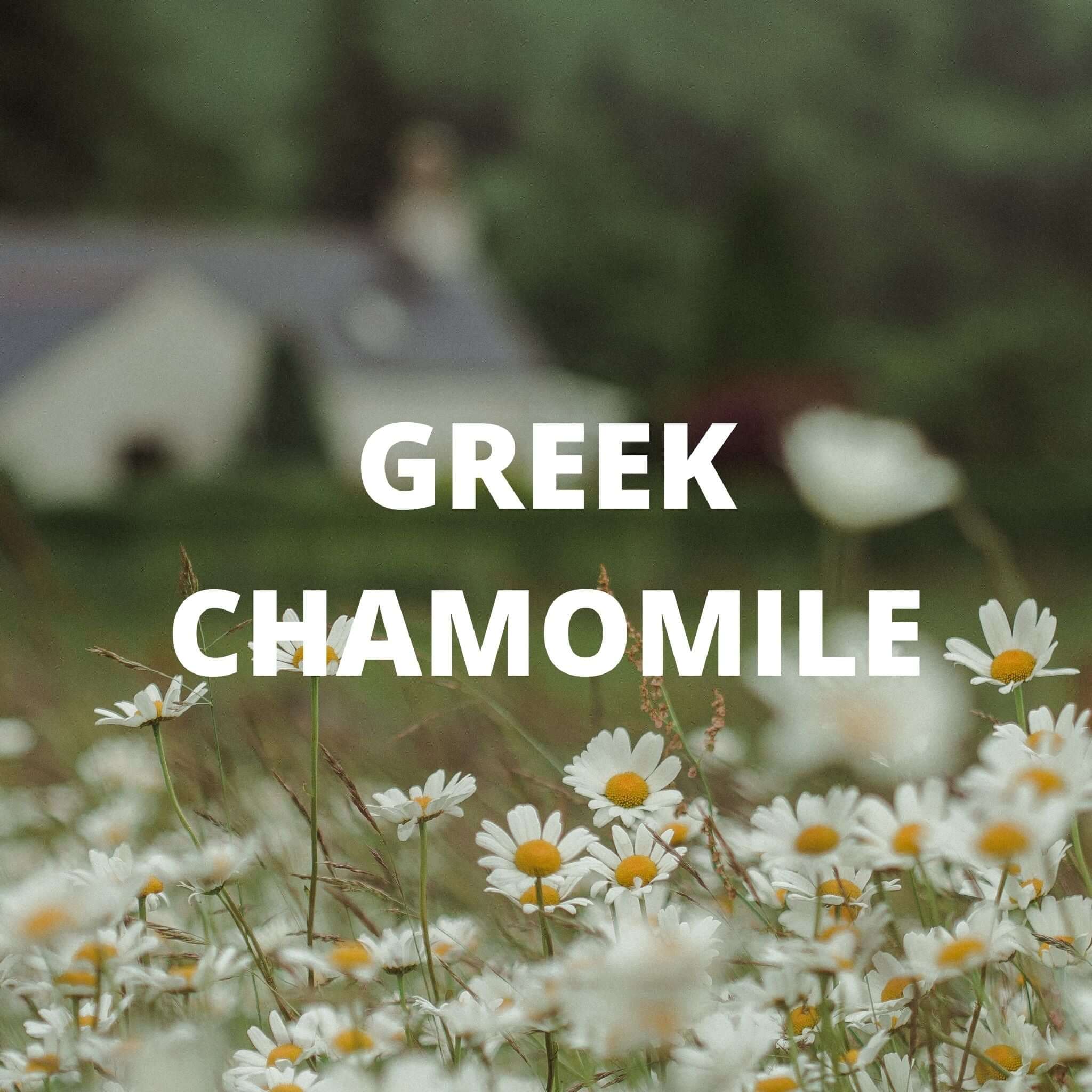 Organic Calm Tea (Greek Lavender, Chamomile and Lemon Balm)